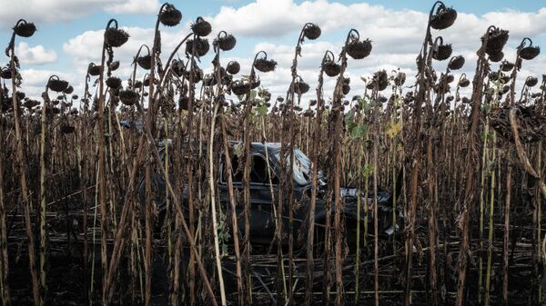 Брошенный автомобиль в полях подсолнечника в Артемовке. Архивное фото - Sputnik Ўзбекистон