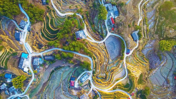 Террасные холмы в деревне Хелин в Аньцине, провинция Аньхой, Китай - Sputnik Ўзбекистон
