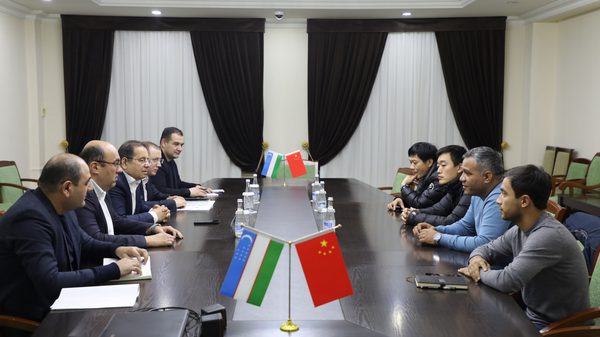  Китайская компания строит завод по производству желатина в Ахангаране - Sputnik Ўзбекистон