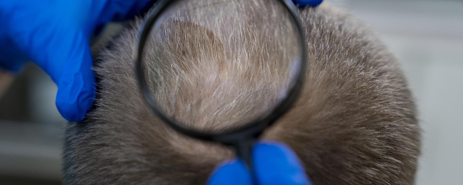 Молодой мужчина с седыми волосами. - Sputnik Узбекистан, 1920, 04.09.2025