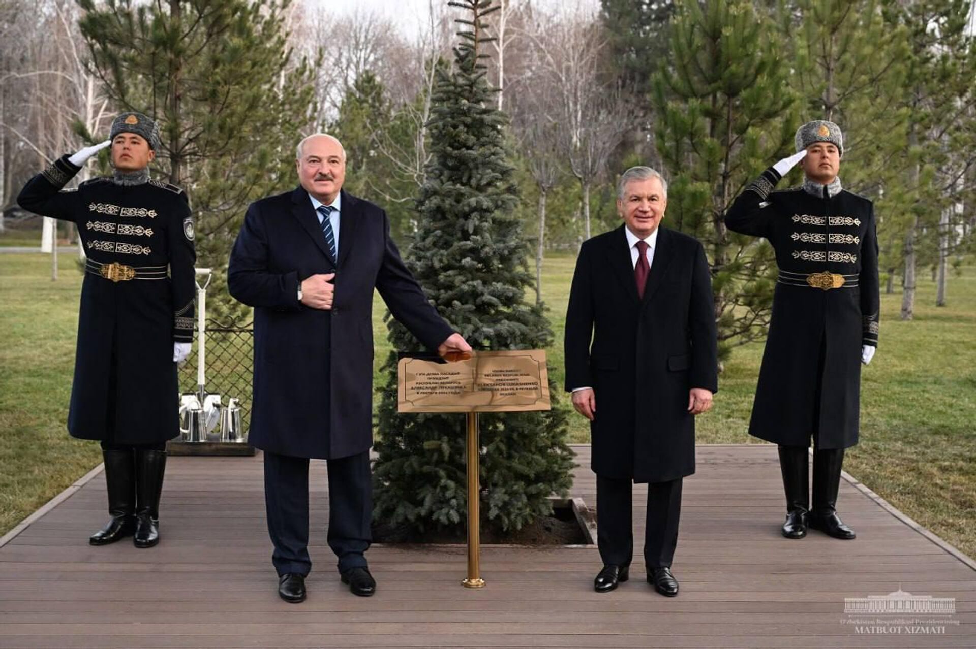 Президенты Шавкат Мирзиёев и Александр Лукашенко вместе посадили дерево на Аллее почетных гостей в резиденции Куксарой. - Sputnik Узбекистан, 1920, 09.02.2024