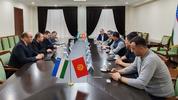 Узбекистан и Кыргызстан планируют развивать сотрудничество  - Sputnik Узбекистан