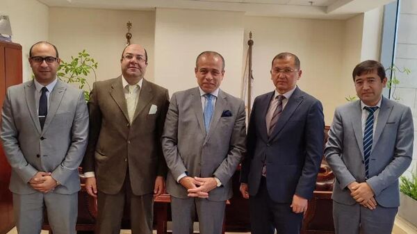 Бизнес-миссия из Египта посетит Узбекистан  - Sputnik Узбекистан
