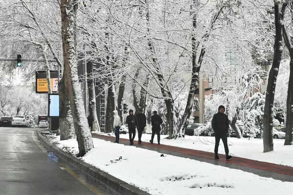 На календаре весна, а пейзаж зимний - Sputnik Узбекистан