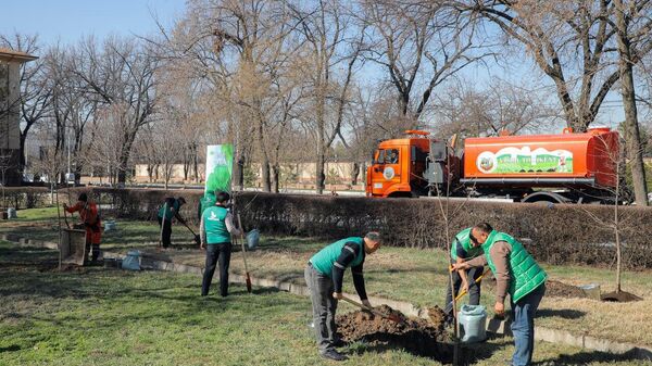 Сегодня, во всех регионах нашей страны проходит всенародный благотворительный хашар в целях подготовки к празднованию Навруза, а также благоустройства.  - Sputnik Узбекистан