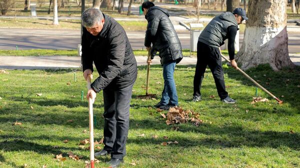 Сегодня, во всех регионах нашей страны проходит всенародный благотворительный хашар в целях подготовки к празднованию Навруза, а также благоустройства.  - Sputnik Узбекистан