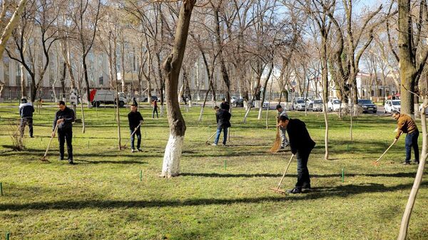 Сегодня, во всех регионах нашей страны проходит всенародный благотворительный хашар в целях подготовки к празднованию Навруза, а также благоустройства.  - Sputnik Ўзбекистон