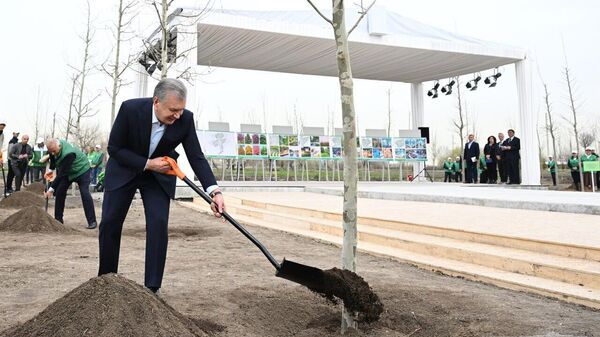 В Парке молодежи высажены первые деревья - Sputnik Узбекистан
