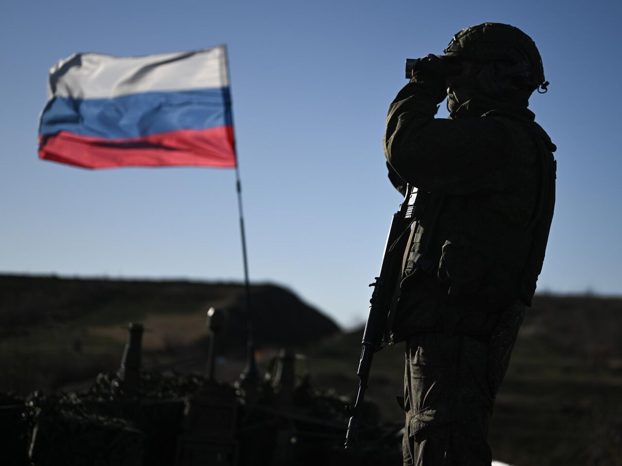 Tukli mushuklarning videolari va fotosuratlari