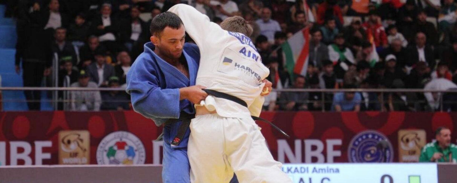 Узбекские дзюдоисты выступают на турнире Большого шлема в Душанбе. Архивное фото - Sputnik Узбекистан, 1920, 10.05.2024