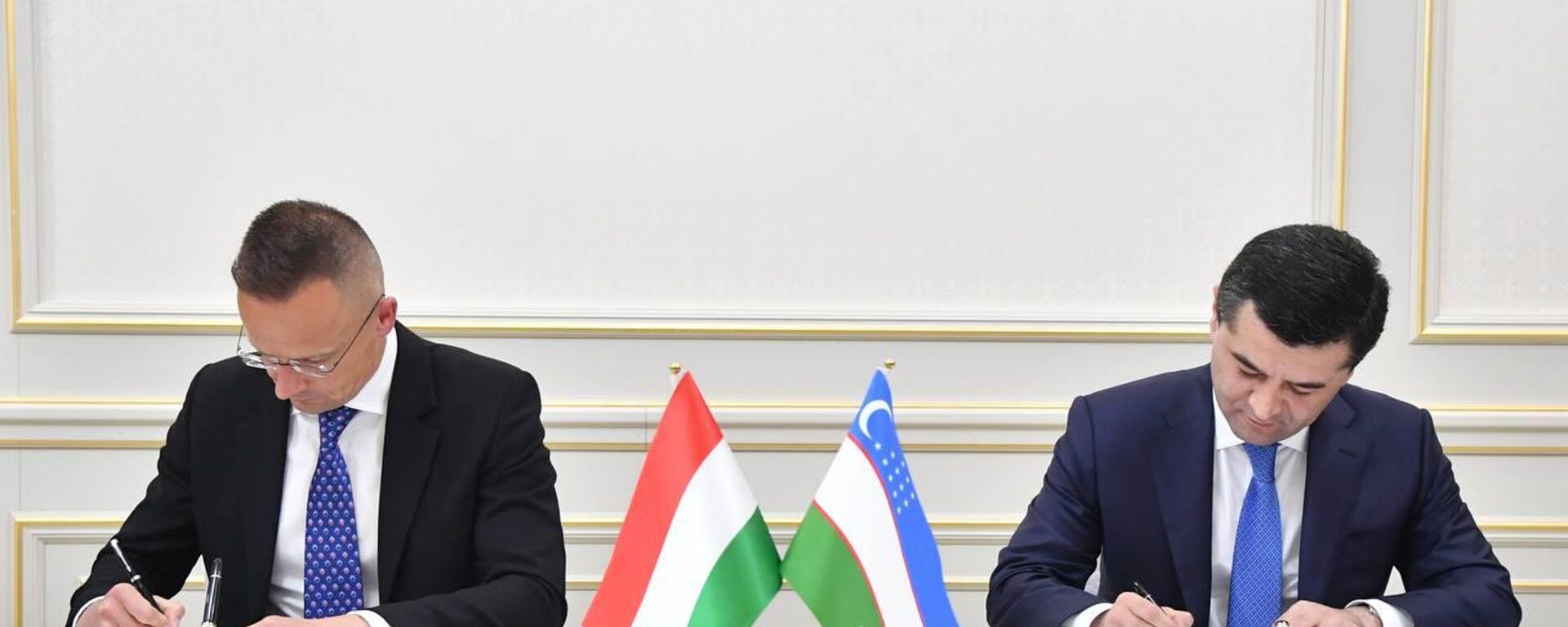 Глава МИД Узбекистана провел встречу с министром иностранных дел и торговли Венгрии - Sputnik Узбекистан, 1920, 08.05.2024