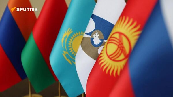 Юбилейное заседание Высшего Евразийского экономического совета - Sputnik Узбекистан