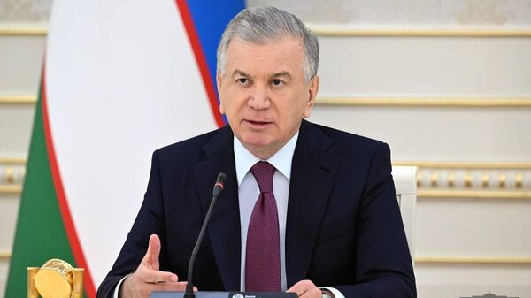 Шавкат Мирзиёев провел видеоселекторное совещание по вопросам развития кожевенной и шелковой промышленности, а также обеспечения занятости населения - Sputnik Узбекистан
