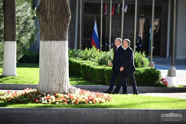 Mirziyoyev va Putin birgalikda daraxt ekdi - Sputnik O‘zbekiston