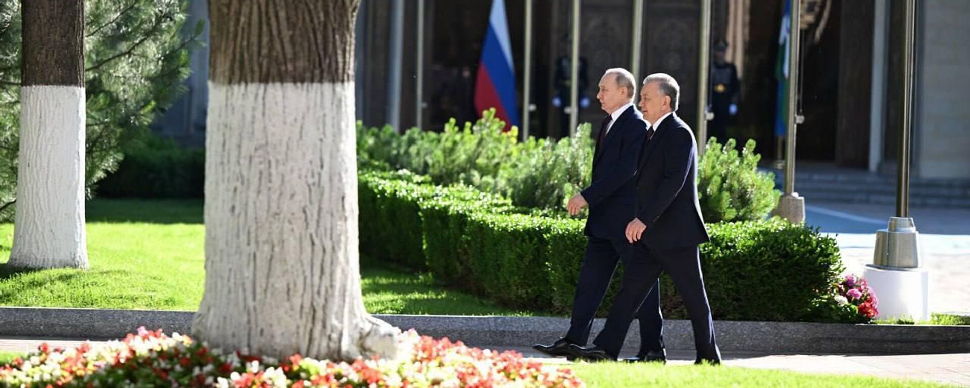 Shavkat Mirziyoyev i Vladimir Putin vmeste posadili derevo na Allee pochetnix gostey - Sputnik O‘zbekiston, 1920, 28.05.2024