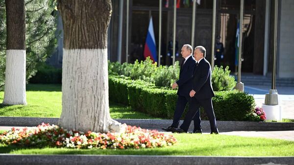 Shavkat Mirziyoyev i Vladimir Putin vmeste posadili derevo na Allee pochetnix gostey - Sputnik O‘zbekiston