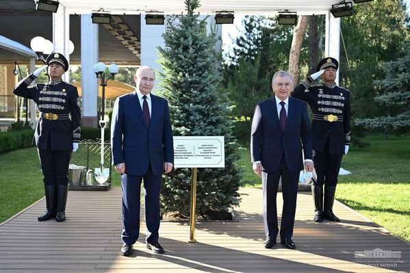 Mirziyoyev va Putin birgalikda daraxt ekdi - Sputnik O‘zbekiston