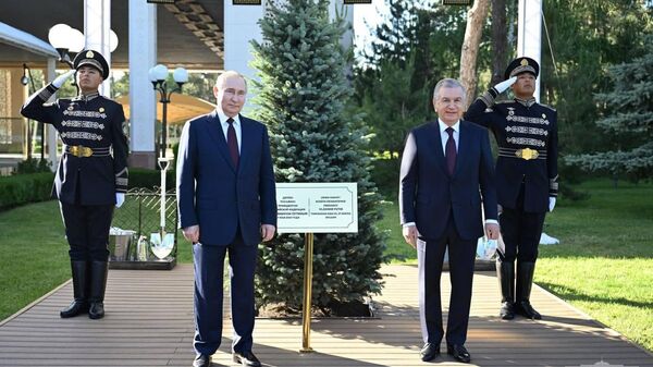 Shavkat Mirziyoyev i Vladimir Putin vmeste posadili derevo na Allee pochetnix gostey - Sputnik O‘zbekiston