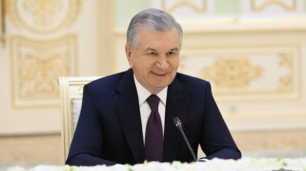 Шавкат Мирзиёев принял делегацию Сената Египта во главе с его председателем Абдулвахабом Абдулразиком - Sputnik Узбекистан
