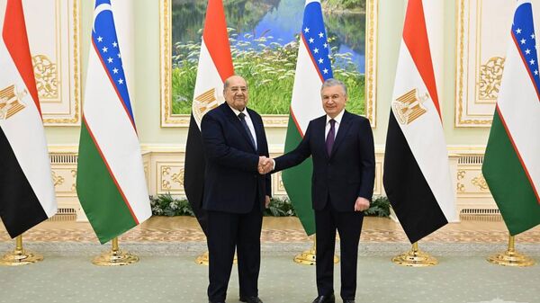 Председатель Сената Египта Абдулвахаб Абдулразик и президент РУз Шавкат Мирзиёев  - Sputnik Узбекистан