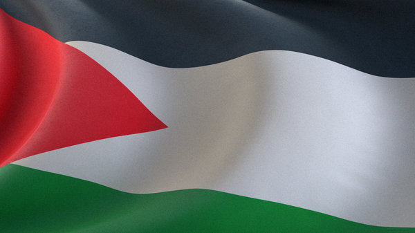 Flag Gosudarstva Palestini - Sputnik O‘zbekiston