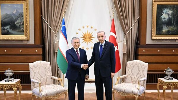 Официальный визит Шавката Мирзиёева в Турцию - Sputnik Узбекистан