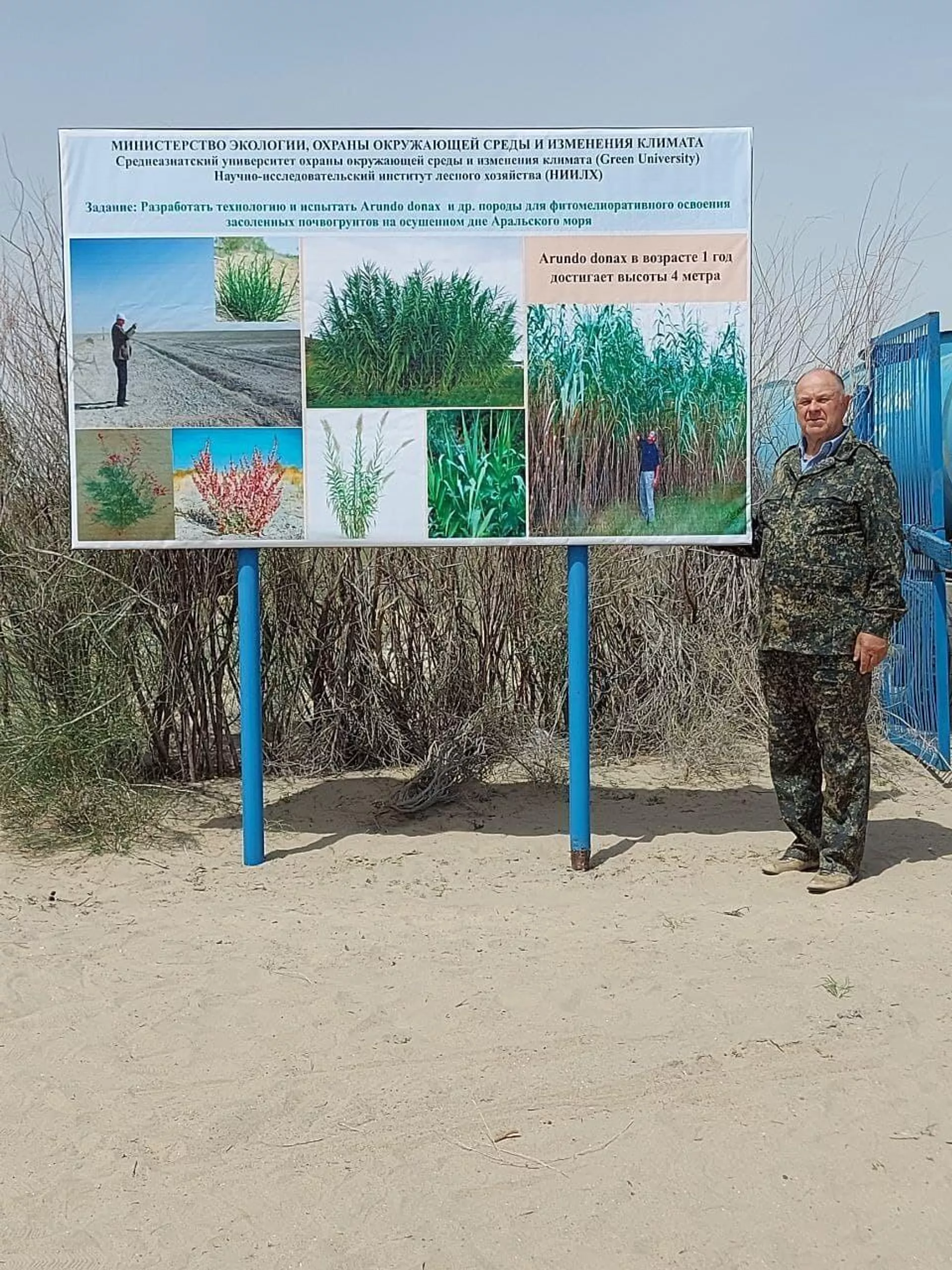 A new species of plant is being planted on the dried-up bottom of the Aral Sea - Sputnik Uzbekistan, 1920, 11.06.2024