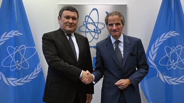 МАГАТЭ готово поддержать Узбекистан в строительстве малой АЭС – Гросси - Sputnik Узбекистан