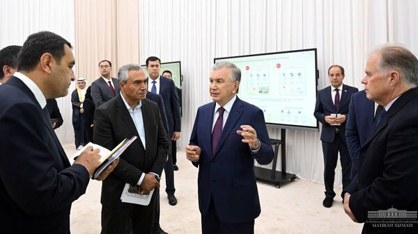 В Фергане запланированы инвестиционные проекты на 7 миллиардов долларов - Sputnik Узбекистан