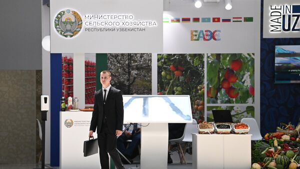 Узбекистан является участником очень многих элементов ЕАЭС — Притчин - Sputnik Узбекистан