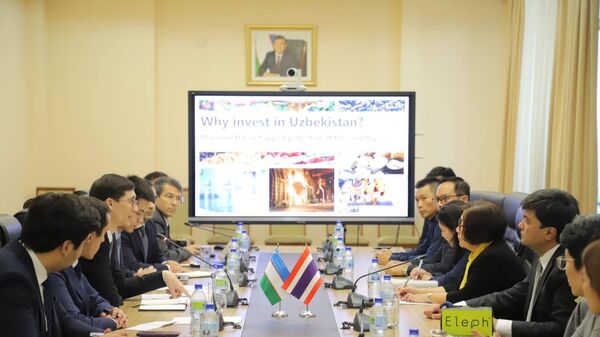 И.о. заместителя министра инвестиций, промышленности и торговли Республики Узбекистан Шохрух Гуламов провёл встречу с делегацией Таиланда - Sputnik Узбекистан