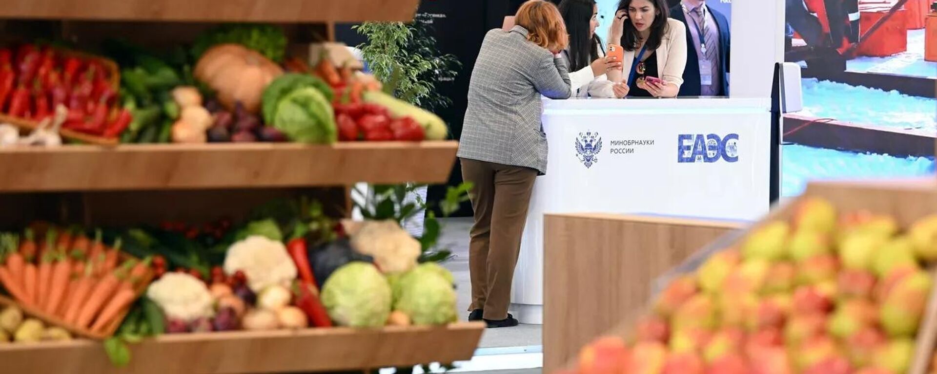 Один из самых масштабных проектов стран ЕАЭС находится на завершающей стадии - Sputnik Узбекистан, 1920, 08.04.2025