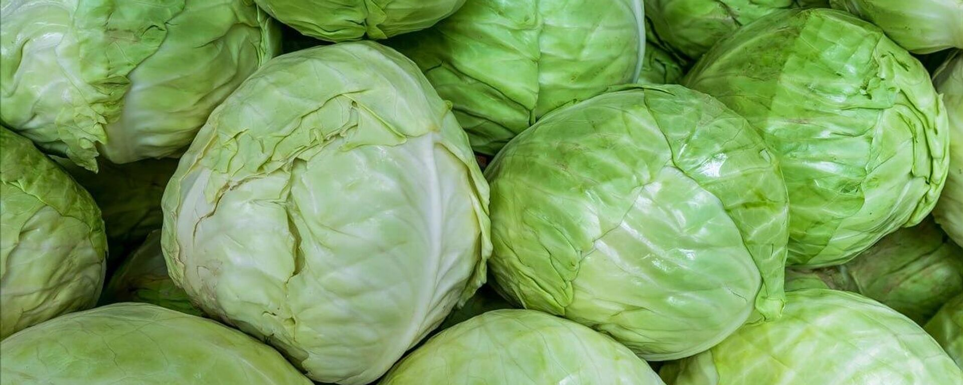 Капуста на прилавке - Sputnik Узбекистан, 1920, 14.04.2026