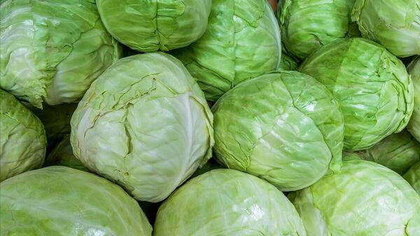 Капуста на прилавке - Sputnik Узбекистан