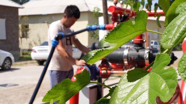 Kakie vodosberegayushie texnologii ispolzuyut fermeri Tashoblasti - Sputnik O‘zbekiston