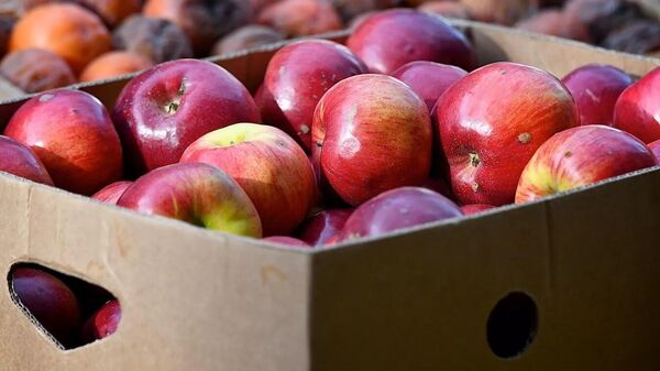 Яблоки в ящиках на рынке - Sputnik Ўзбекистон