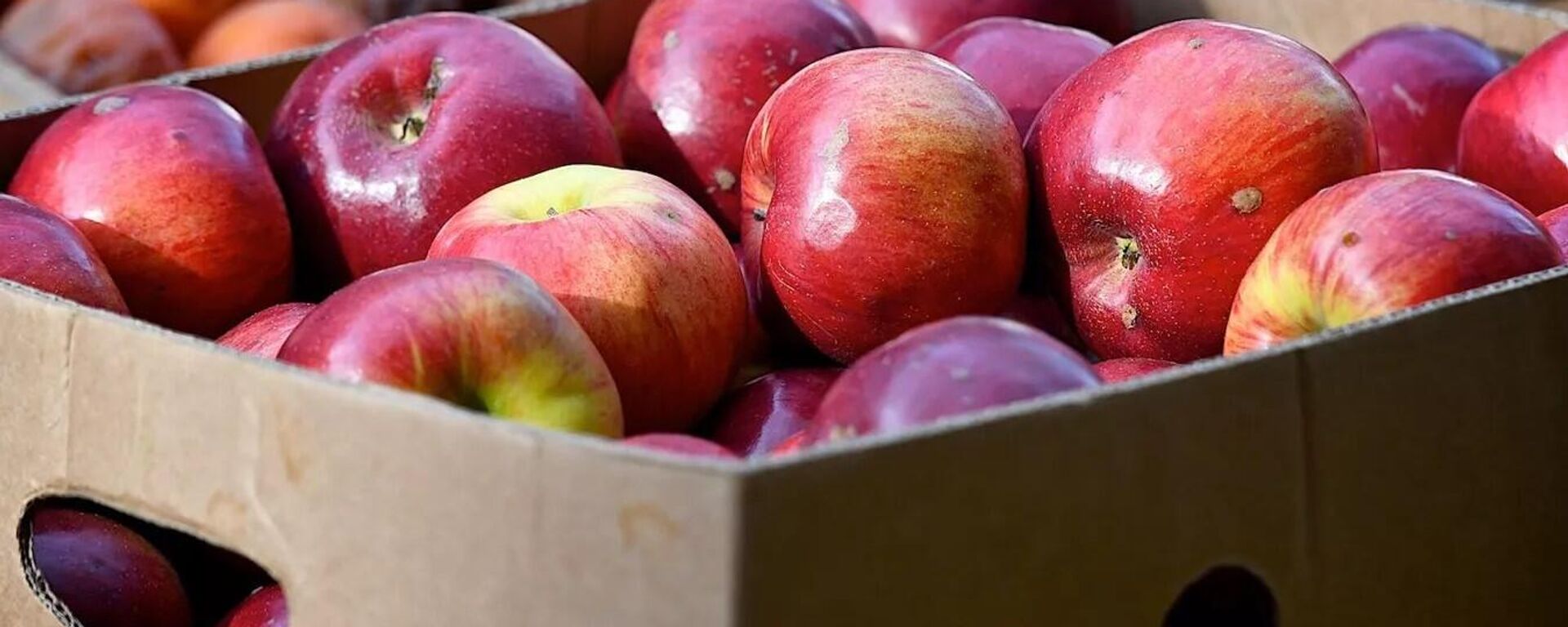 Яблоки в ящиках на рынке - Sputnik Ўзбекистон, 1920, 16.01.2026