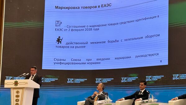 ЕЭК презентовала основные направления торговой политики в ЕАЭС на международном инвестфоруме в Туркменистане - Sputnik Узбекистан