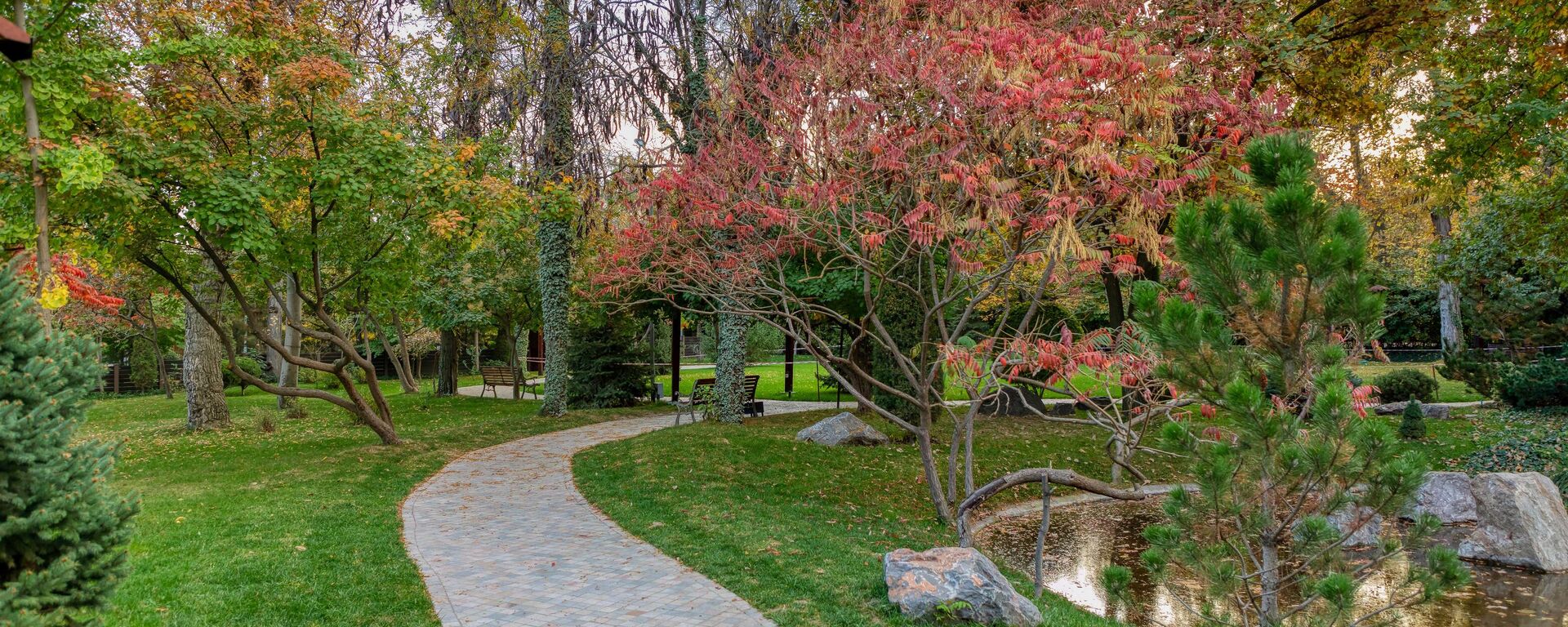 Осень в японском саду - Sputnik Ўзбекистон, 1920, 12.10.2025