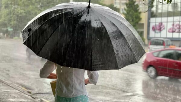 Silniy liven - Sputnik O‘zbekiston