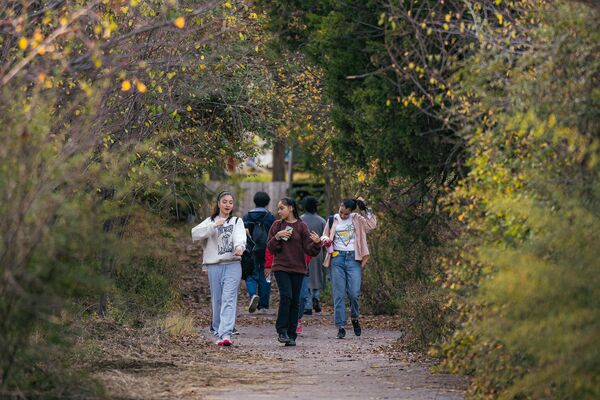 Аллея, залитая солнечным светом - Sputnik Узбекистан