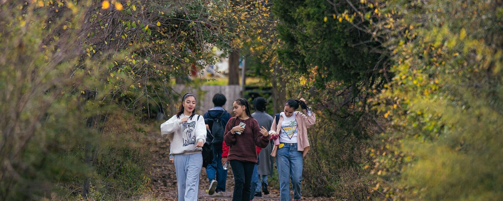 Яркие краски осени в Ташкентском ботаническом саду. - Sputnik Узбекистан, 1920, 10.10.2024