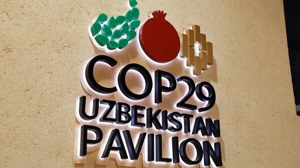 Узбекский двор как образец эко культуры: Что представит Узбекистан на COP29? - Sputnik Узбекистан