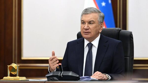 Шавкат Мирзиёев ознакомился с презентацией об эффективной организации проектов ГЧП в социальной сфере. - Sputnik Узбекистан