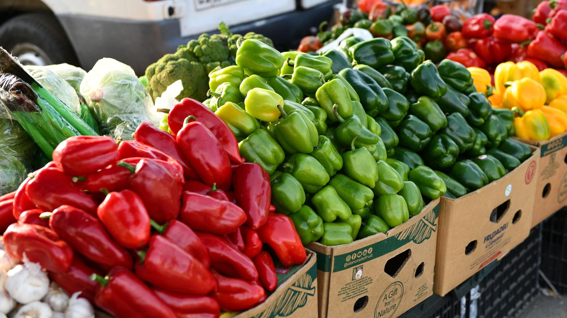 Raznosvetniy bolgarskiy peres - Sputnik O‘zbekiston, 1920, 07.09.2025