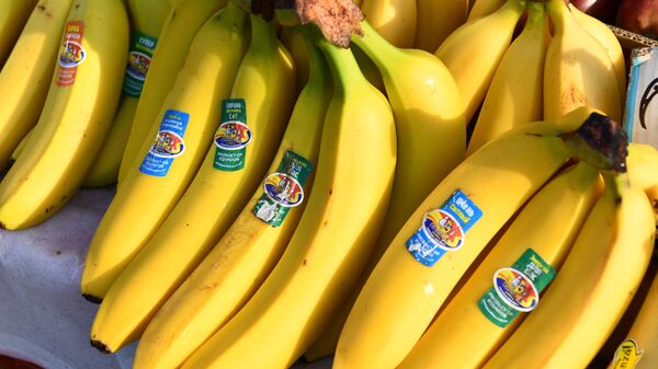 Бананы - Sputnik Узбекистан