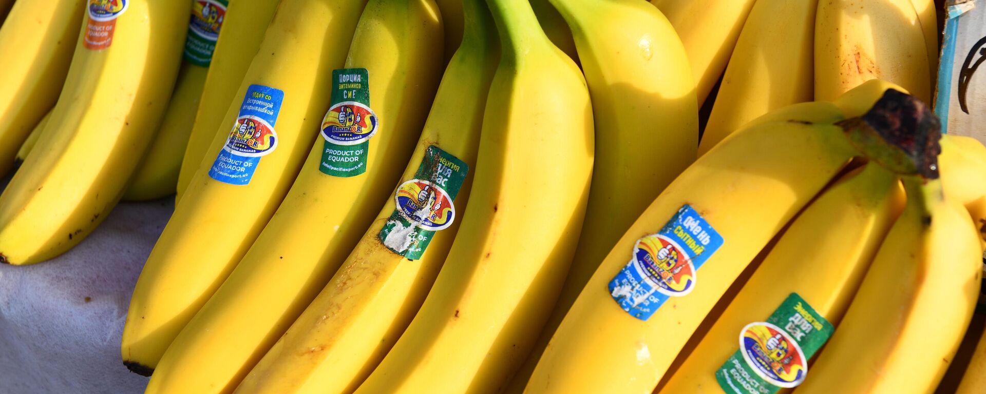 Бананы - Sputnik Узбекистан, 1920, 06.10.2025