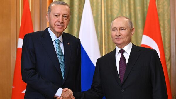 Президент РФ В. Путин провел переговоры с президентом Турции Р. Т. Эрдоганом - Sputnik Узбекистан