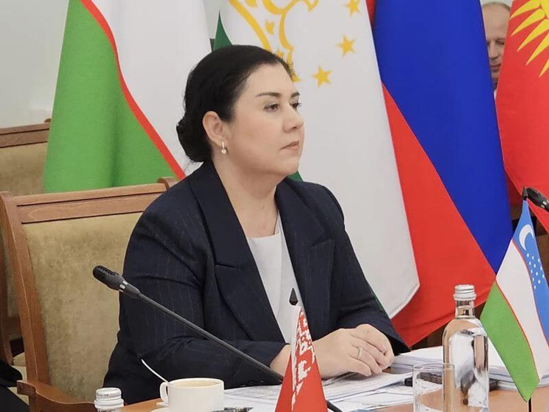 В Москве прошло заседание Комиссии по правам человека Содружества Независимых Государств В Москве прошло заседание Комиссии по правам человека Содружества Независимых Государств - Sputnik Узбекистан, 1920, 17.04.2025