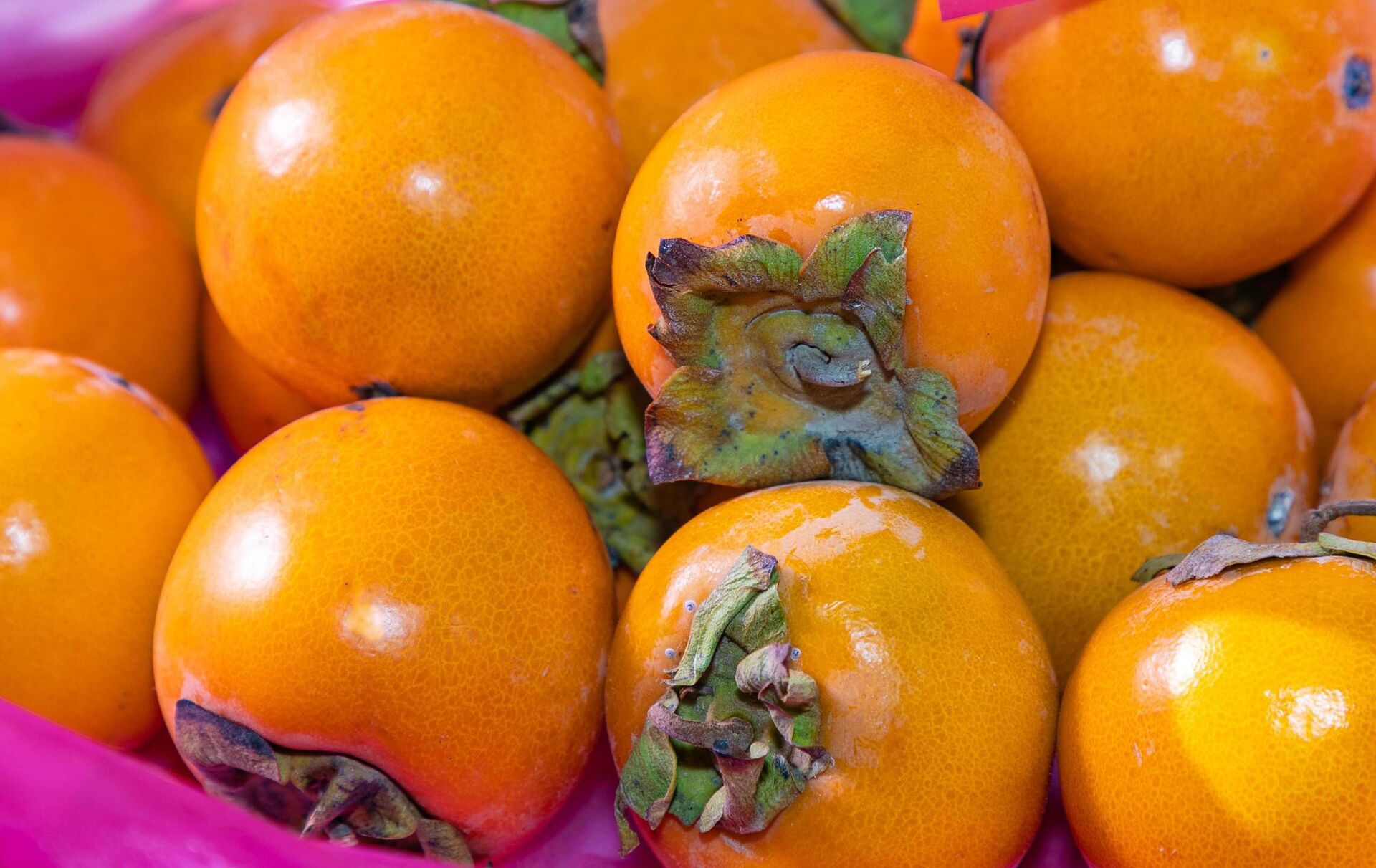 Хурма - Sputnik Узбекистан, 1920, 14.06.2023